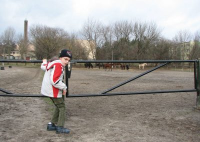 5 rano pojechalismy zobaczyc co slychac u konikow